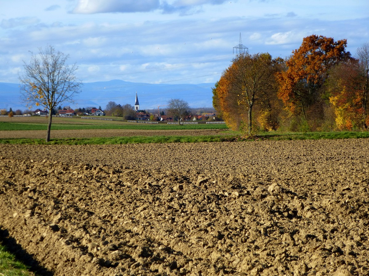 Herbststimmung in der Rheinebene, im Hintergrund der Ort Eschbach, am Horizont die Vogesen, Nov.2015