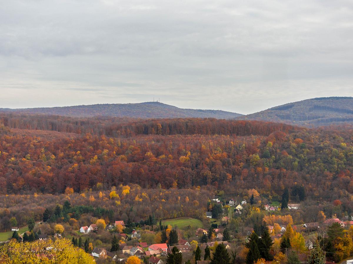 Herbststiummung bei Orfű auf dem Mecsek Berg am 12.11.2017.