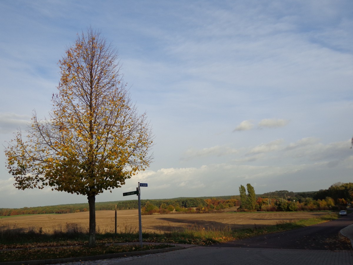 Herbsttag 17.10.13 in Bad Belzig (Rosa-Luxemburg-Str.)