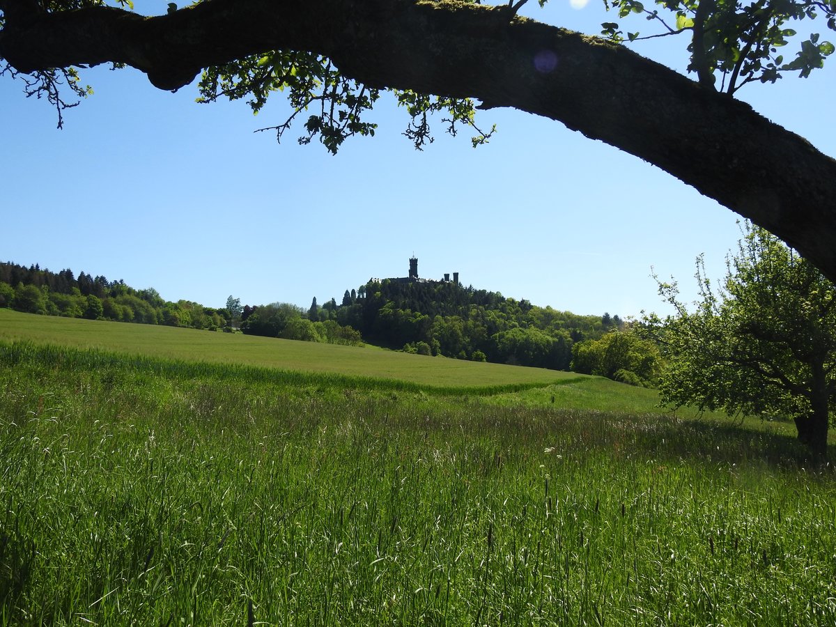 HOCH ÜBER DEM LAHNTAL BEI BALDUINSTEIN-SCHLOSS/BURG  SCHAUMBURG 
Im romantischsten unteren Teil des Lahntals liegt hoch über dem Ort BALDUINSTEIN
mit der gleichnamigen Burgruine auf einem Höhenzug die  SCHAUMBURG ,
ursprünglich eine Höhenburg und 1197 erstmals erwähnt..nach zahlreichen
Besitzerwechseln im Lauf der Jahrhunderte heute in Privatbesitz..am 11.5.2019