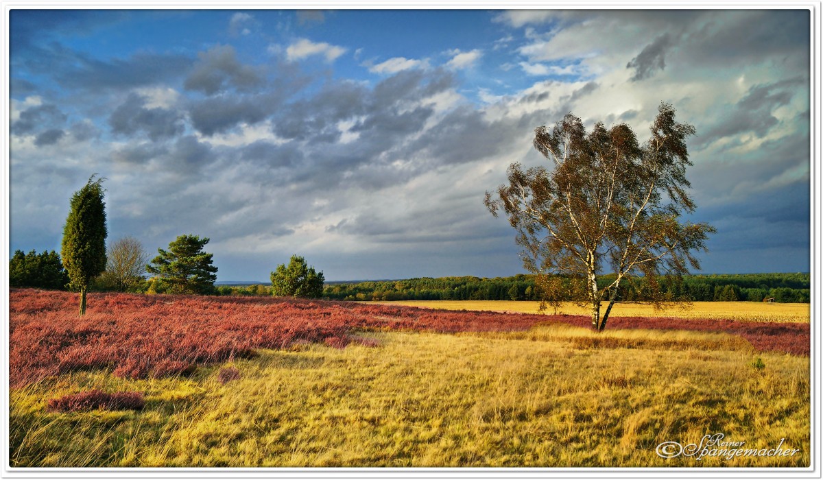 Hochebene in der Heide von Reinsehlen bei Schneverdingen, Oktober 2014 