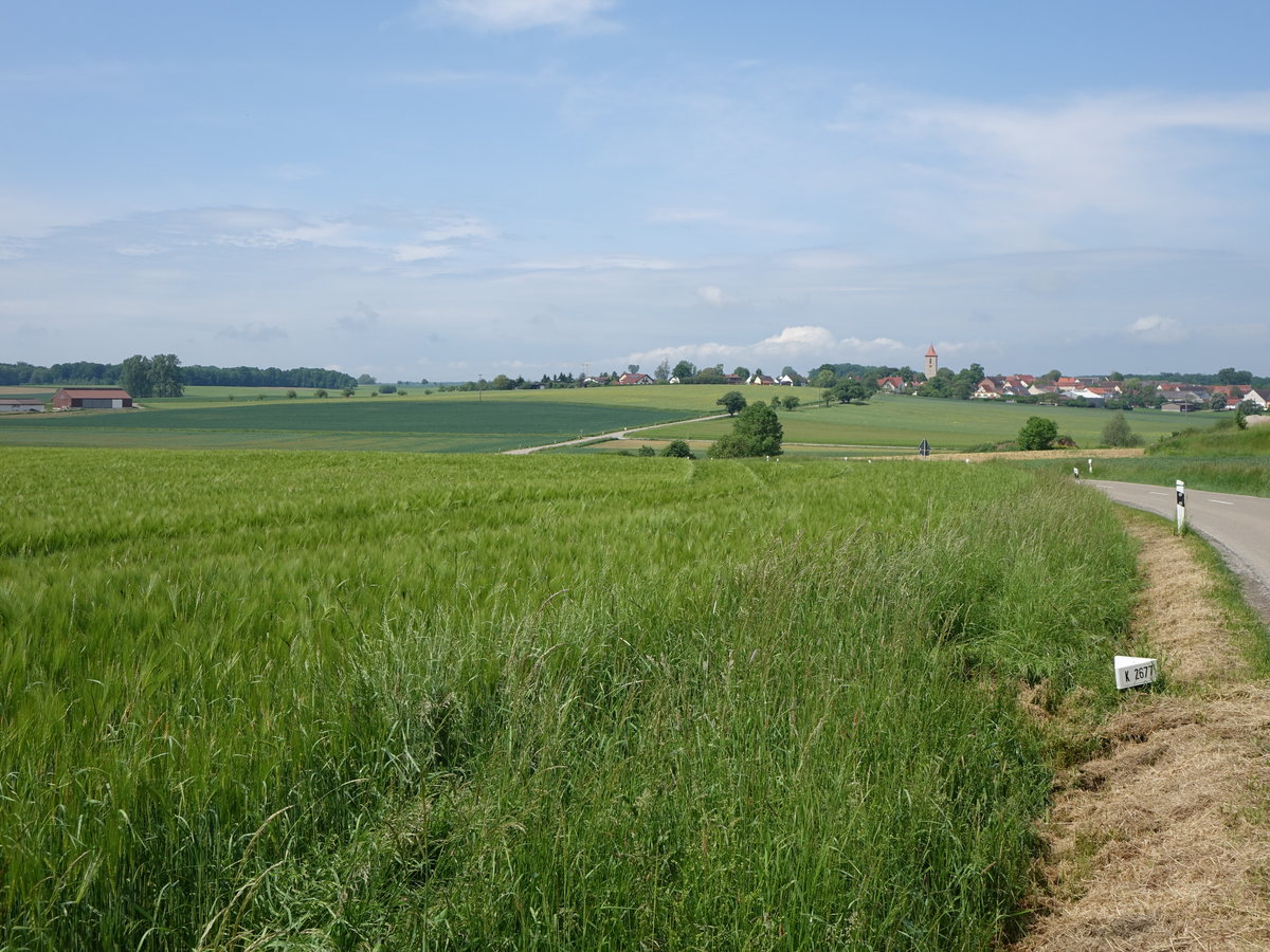 Hochplateau der Hohenloher Ebene bei Gammesfeld (29.05.2016)