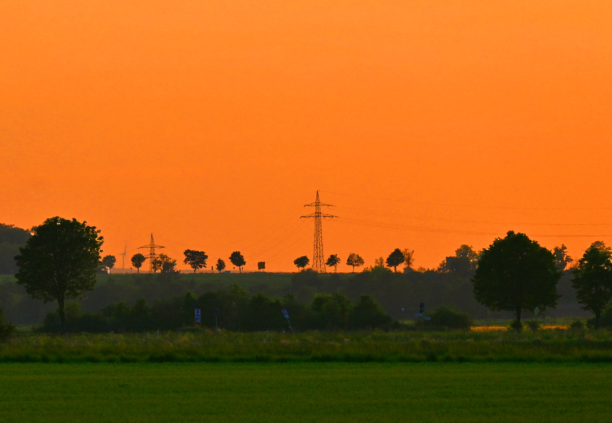 Hochspannung, Büsche und Bäume im Abendlicht bei Bad Münstereifel - 14.05.2022