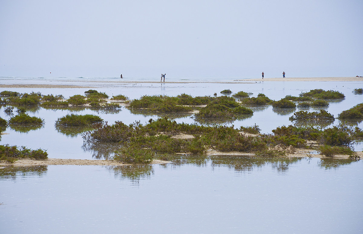 Hochwasser an der Sotavento-Lagune auf der Insel Fuerteventura in Spanien. Aufnahme: 15. Oktober 2017.