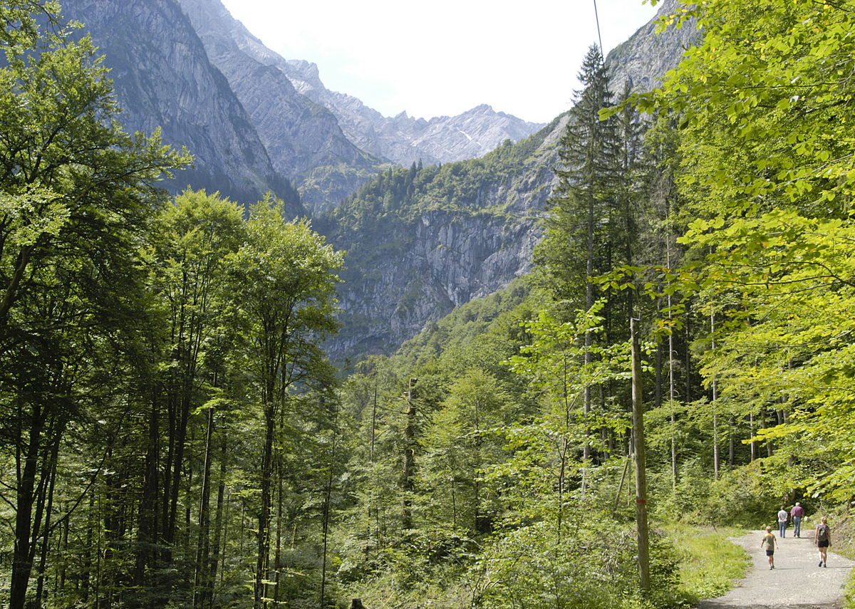 Höllental - Vom Grainauer Ortsteil Hammersbach führt ein Fußweg über rund drei Kilometer und etwa 300 Höhenmeter durch ein immer enger werdendes Tal zur Höllentaleingangshütte und zum gebührenpflichtigen Weg durch die Höllentalklamm. Aufnahme: August 2008.