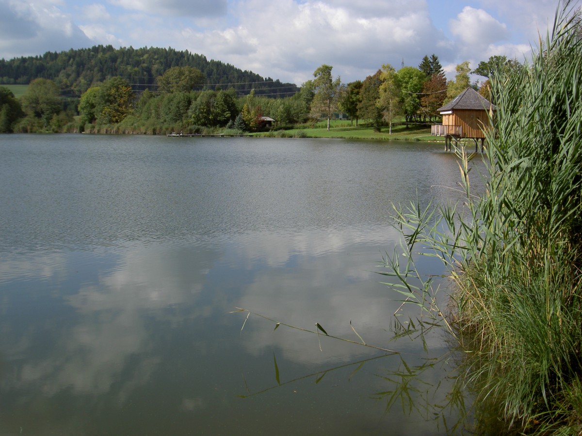 Hrzendorfer See bei St. Veit an der Glan (02.10.2013)