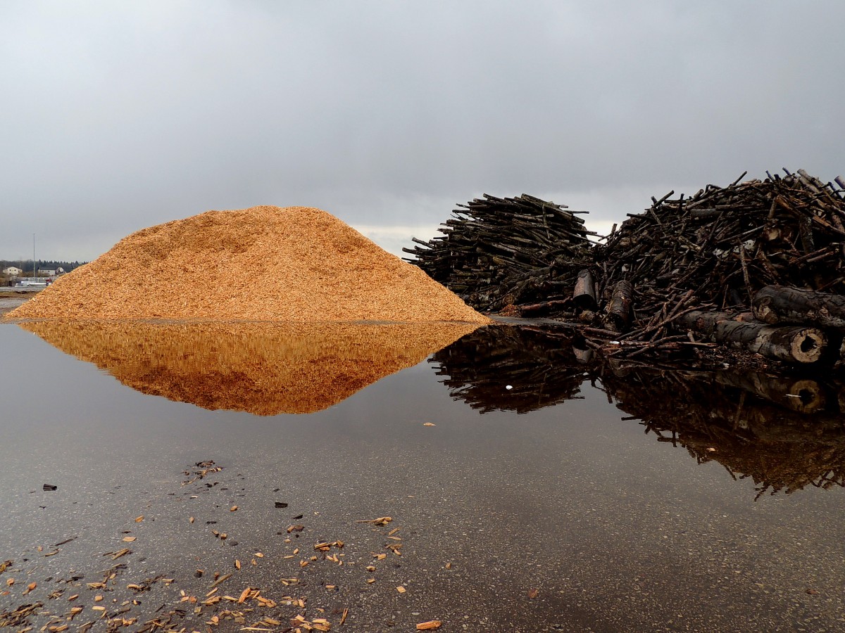 Holzvielfalt-Spiegelung; bzw. Holz in unterschiedlichem Formzustand, oder Rohbaumstämme und Hackgut als Brennstoff; 150304