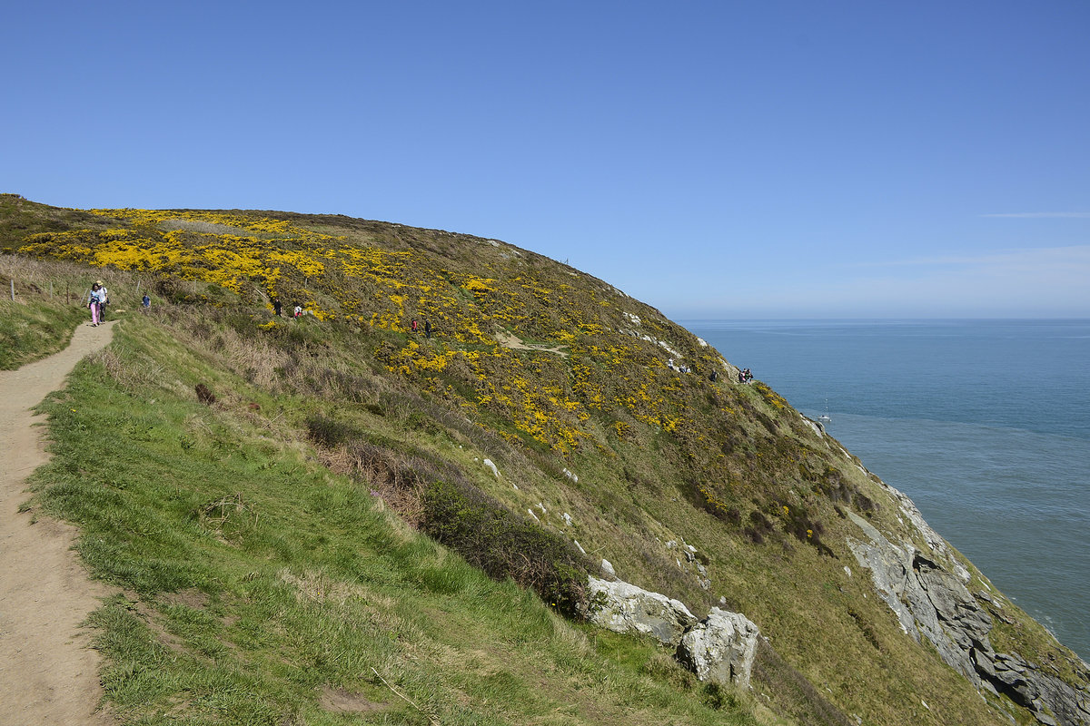 Howth Cliff Walk - Die steile Küste und die Aussicht vom Cliffwalk über das Meer sind fantastisch.
Aufnahme: 12. Mai 2018.