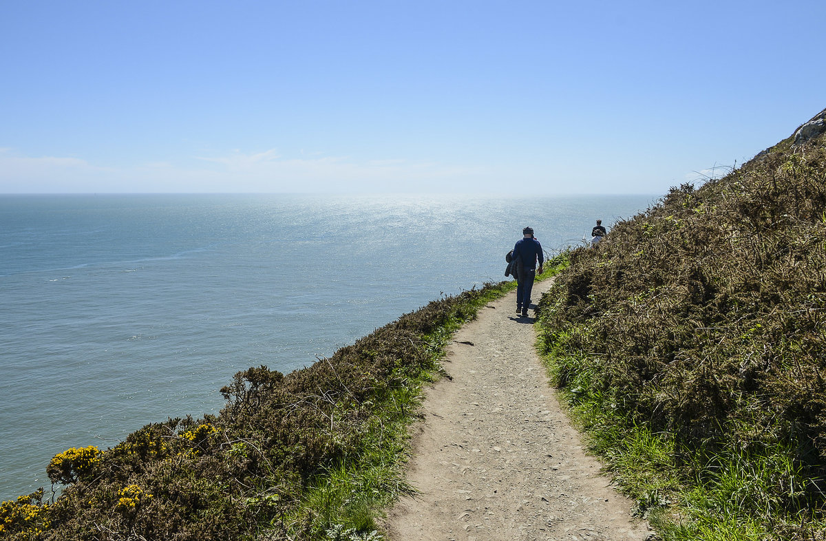 Howth Cliff Walk zwischen Piper's Gut und Fox Hole - Irland. Aufnahme: 12. Mai 2018.