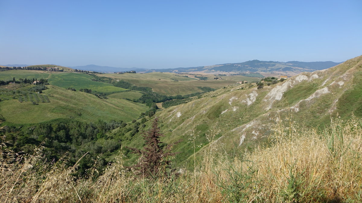 Hügel bei San Piero a Grado in der Toskana (18.06.2019)