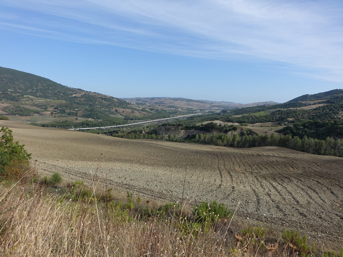 Hügel und Felder bei Casacalenda, Region Molise (17.09.2022)