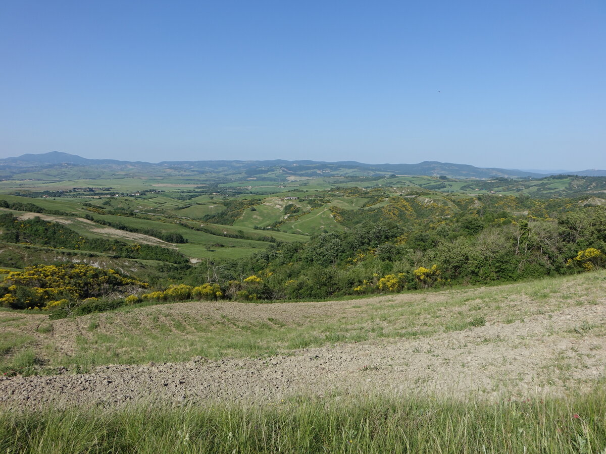 Hügel in den Monti Volsini bei Proceno, Latium (21.05.2022)