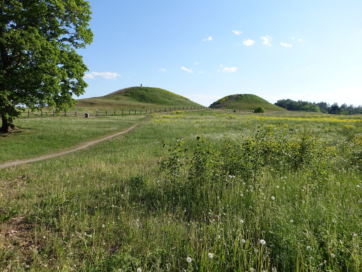 Hügelgräber in Gamla Uppsala (02.06.2018) Landschaftsfotos.eu