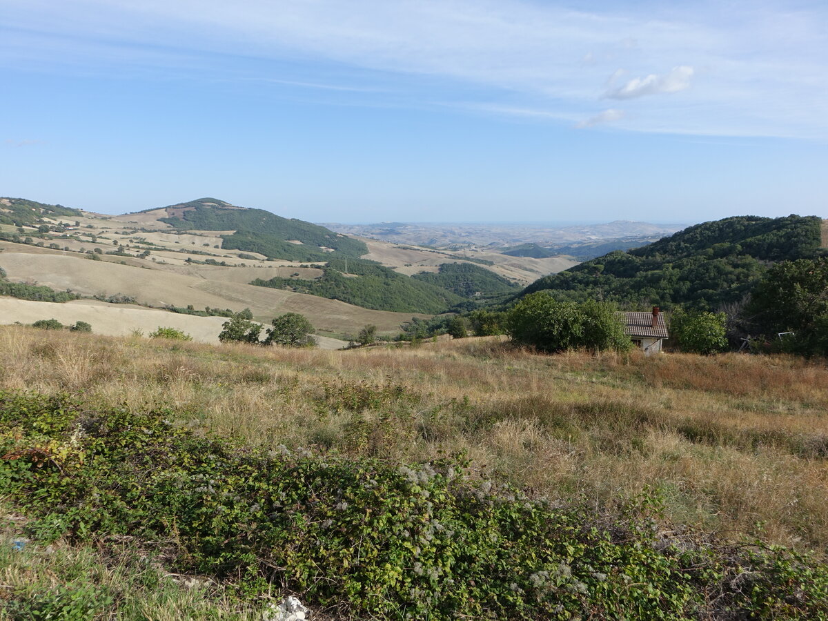 Hügellandschaft bei Larino, Provinz Campobasso, Molise (17.09.2022)
