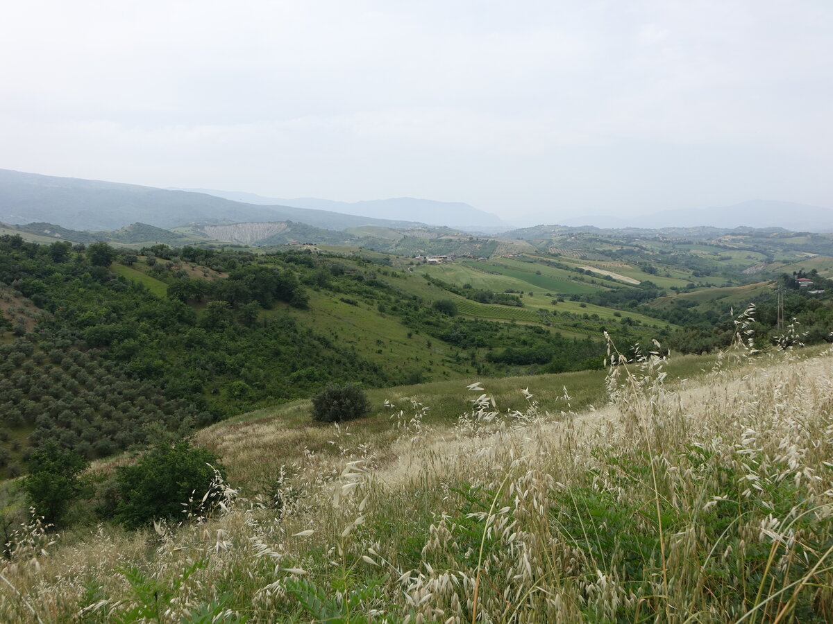 Hügellandschaft bei Manopello, Abruzzen (26.05.2022)