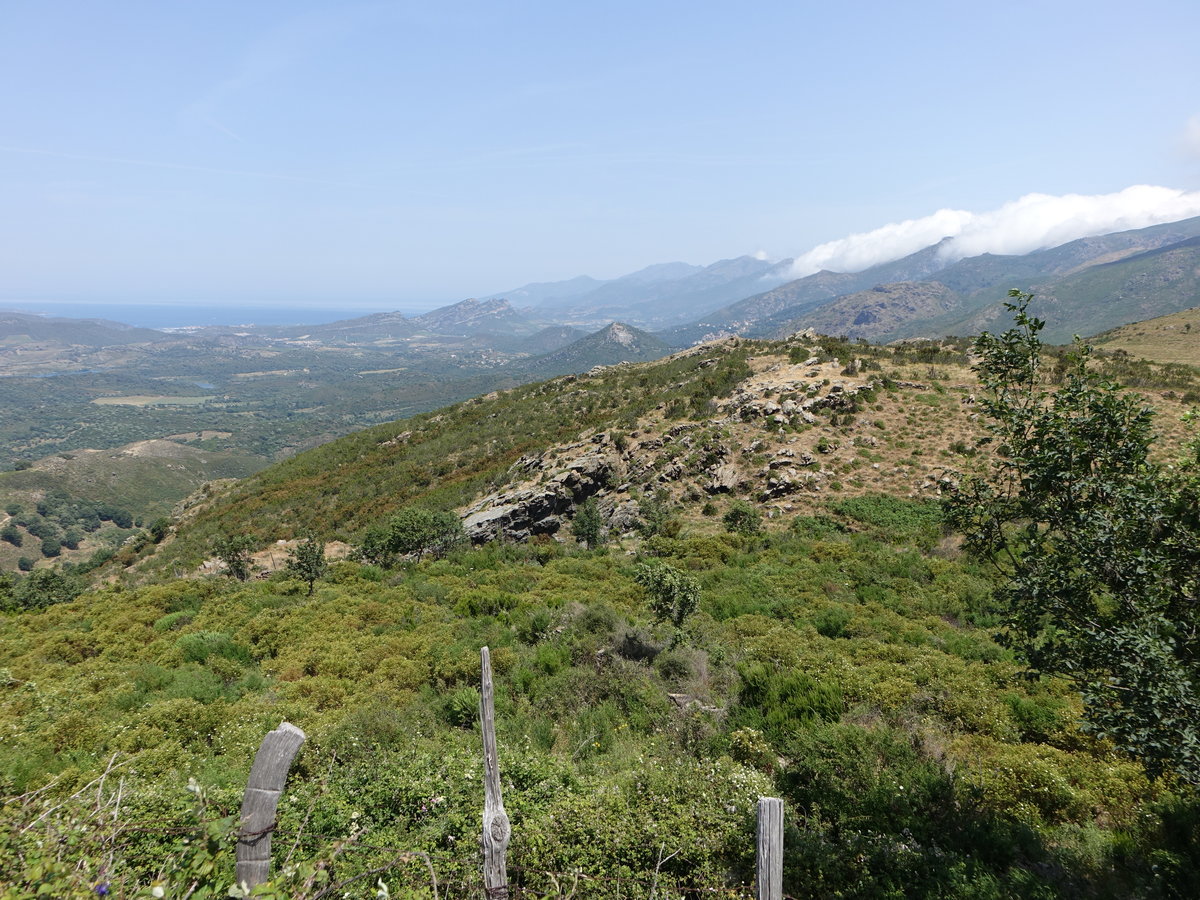 Hügellandschaft zwischen Marana und Murato, Korsika (21.06.2019)