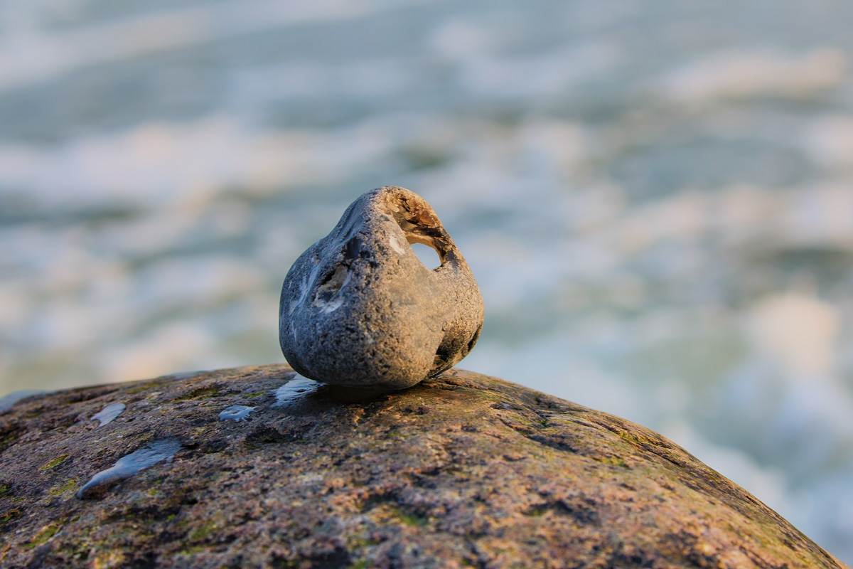 Hühnergott, Fundstück am Strand von Sassnitz. - 02.02.2017