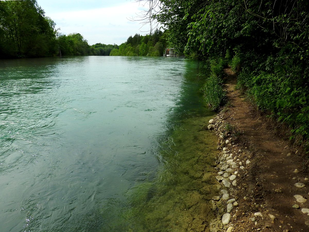 Idylischer Wanderweg entlang des ALM-Flusses bei Wimsbach; 190525