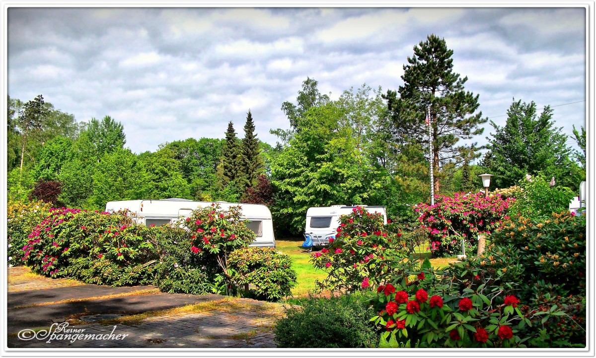 Idyll zwischen Rhododendren im Mai, Camping Hahn im Ammerland bei Westerstede, Mai 2011.