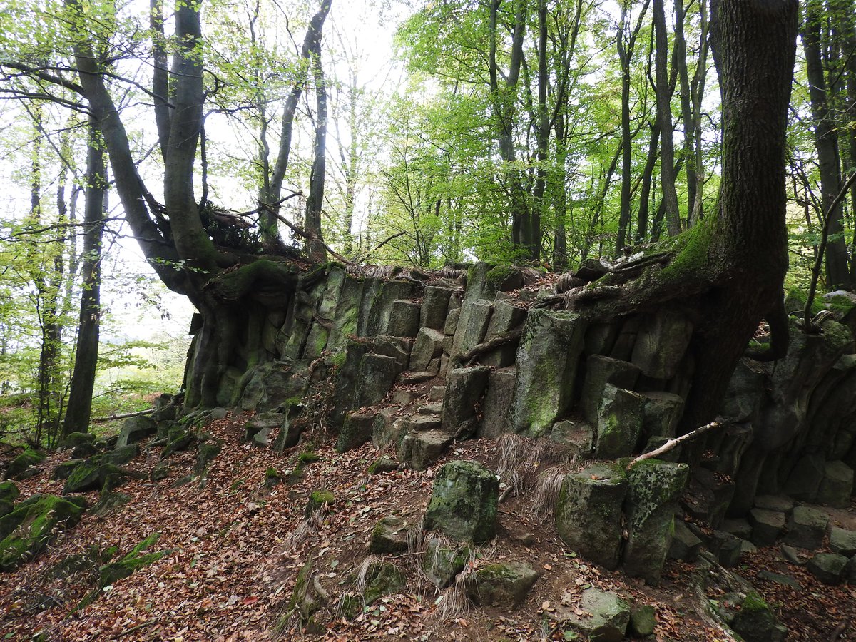 IM BASALTKRATER  BLAUER STEIN  BEI KUCHHAUSEN/WESTERWALD
Nur wenige hundert Meter oberhalb des kleinen Westerwalddorfes KUCHHAUSEN,dem
letzten Wohnort des durch sein fotografisches Werk weltberühmten Fotografen
AUGUST SANDER,liegt in einem Waldstück das etwa 100 Meter lange ovale Basaltlager
 BLAUER STEIN ,wo im NIOZÄN,vor 5-25 Millionen Jahren,Lava in einem Schlot durch
das Grundgebirge trat und zu kantigen Säulen erstarrte....
Bis in die 1920er Jahre wurde hier Basalt durch die LINZER BASALT-AG abgebaut,
heute ist es ein faszinierender Ort...am 4.11.2018