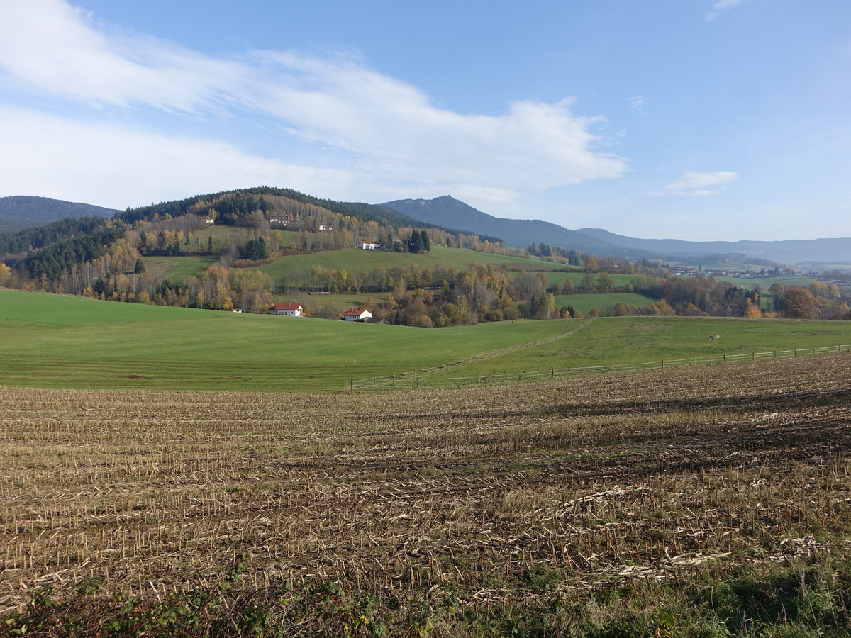 Im Bayerischen Wald im Lamer Winkel bei Engelshütt (05.11.2017)