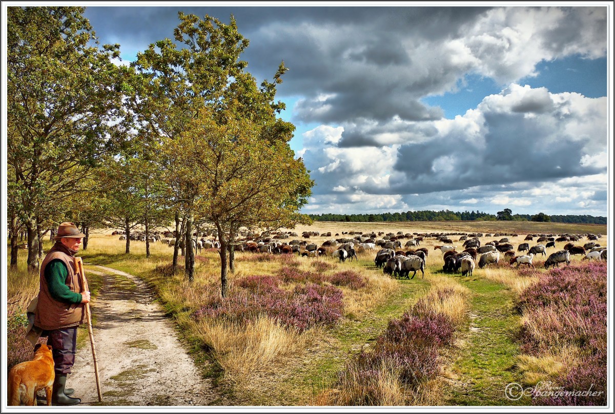 Im Bild der Suhorn Höhenrücken über dem Wümmetal, dort entspringt aus Quelltöpfen die Wümme, gegenüber liegt der Wümmeberg, der Wanderweg führt uns weiter nach Nieder-& Oberhaverbeck, dort finden wir auch große Parkplätze für die Besucher. Spätsommer 2013.