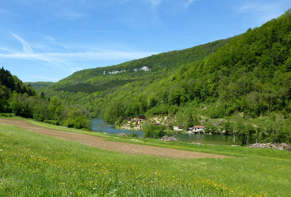 im Doubstal, unweit von St.Hippolyte, Mai 2017