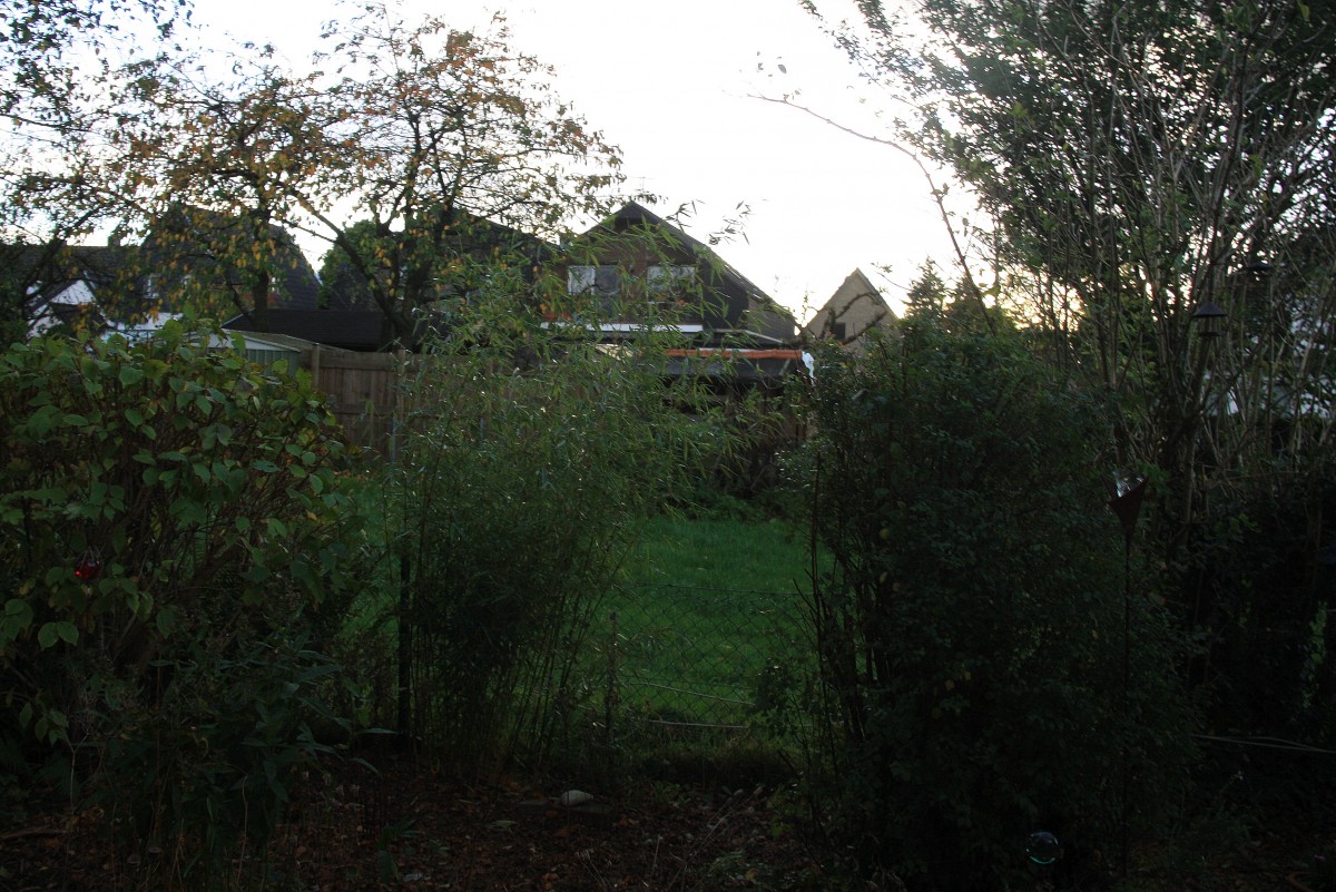 Im Garten in Kohlscheid-Bank am Abend vom 29.10.2013.