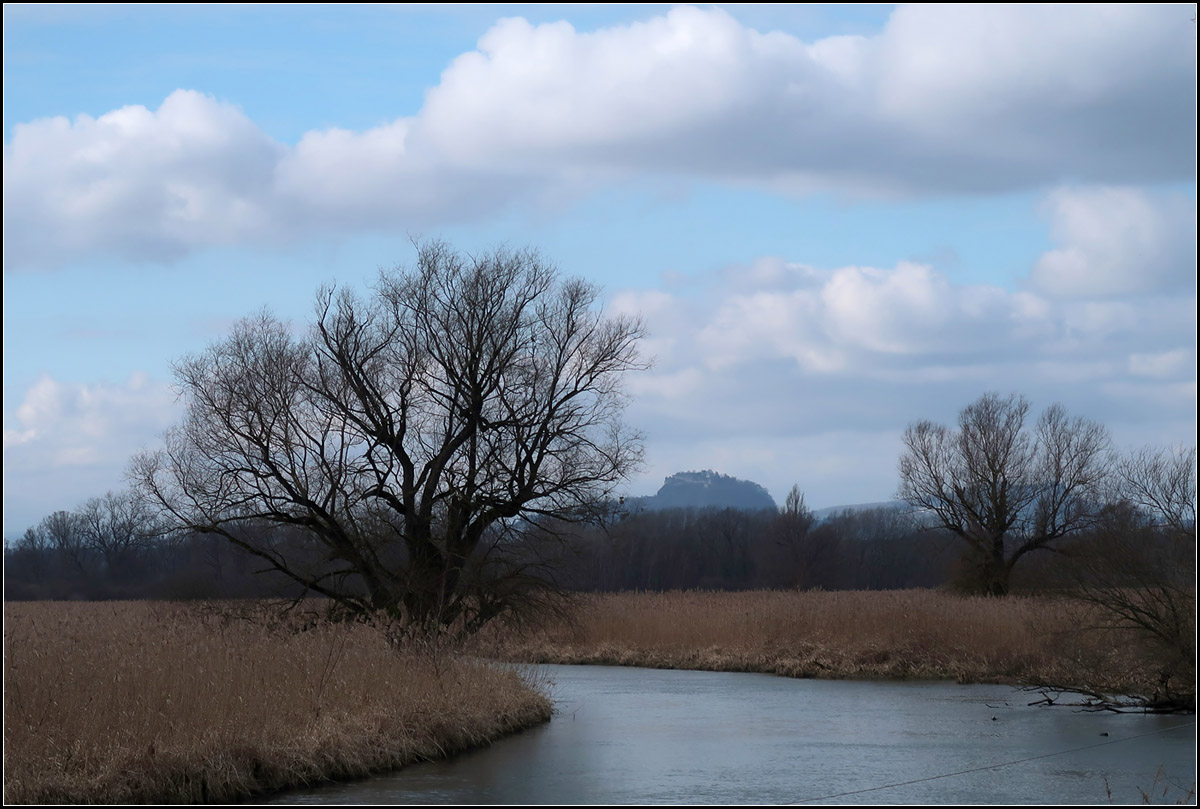 Im Hintergrund der Hohentwiel -

Vom Radolfzeller Ried hat man einen schönen Blick zum Hohentwiel bei Singen.

10.02.2018 (M)