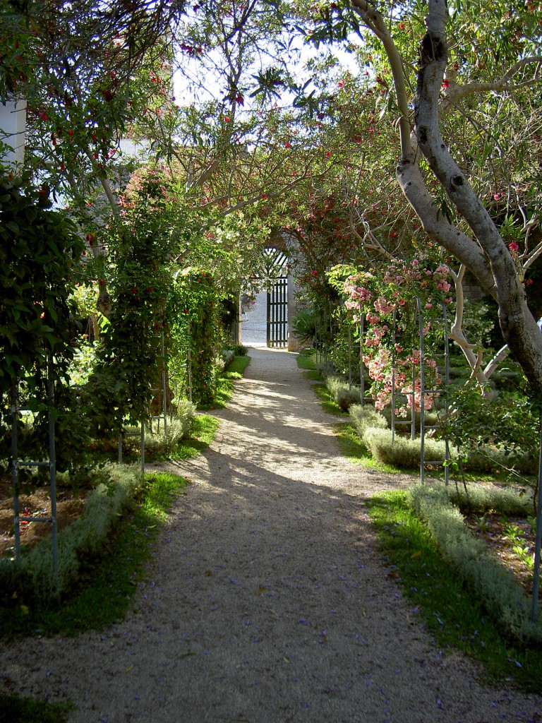 Im Jardim do Castello in Tavira (25.05.2014)