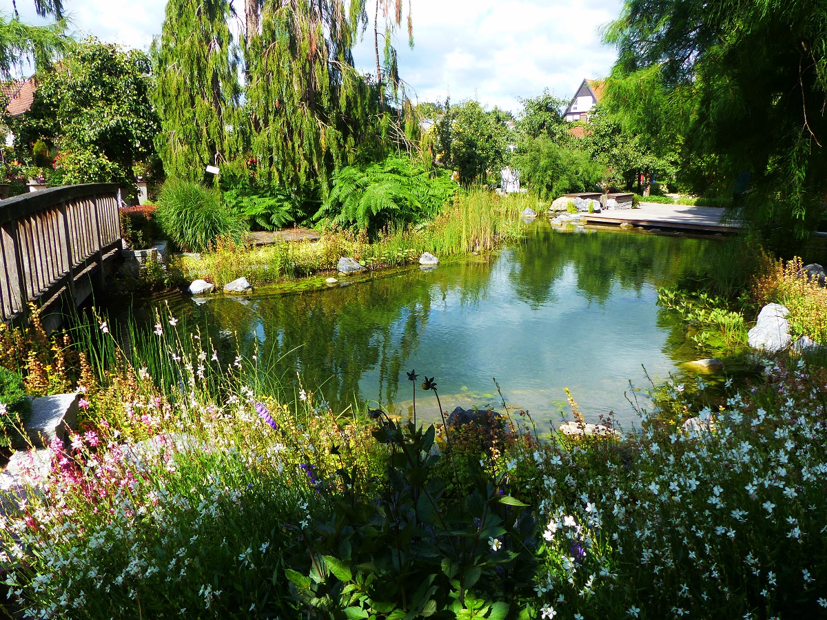 Im Kreislehrgarten in Steinfurt=Burgsteinfurt, Sommer 2020