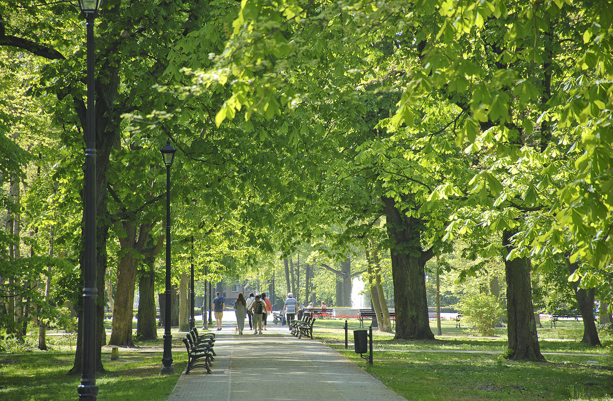 Im Kurpark von Świnoujście (Swinemünde). Aufnahme: 7. Mai 2016.