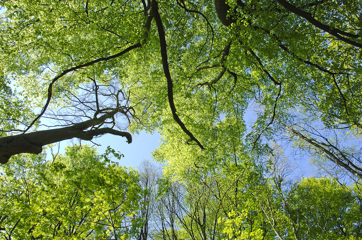 Im Kurpark von Świnoujście (Swinemünde). Aufnahme: 7. Mai 2016.