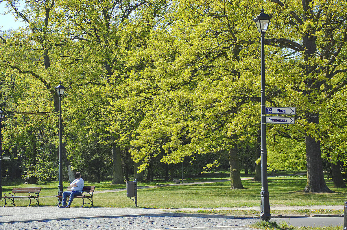 Im Kurpark von Świnoujście (Swinemünde). Aufnahme: 7. Mai 2016.