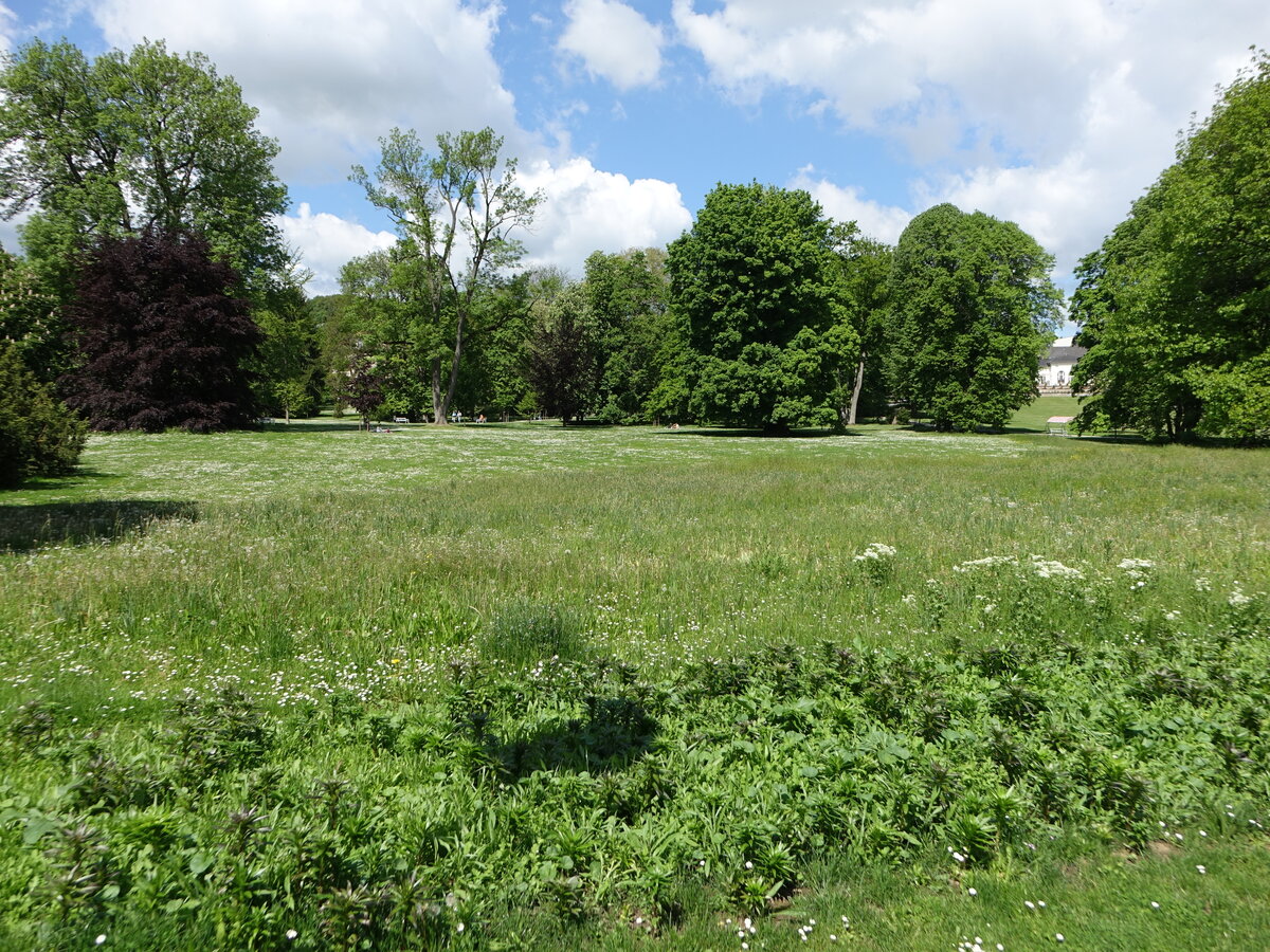 Im Kurpark von Bad Nauheim im Wetteraukreis (29.05.2021)