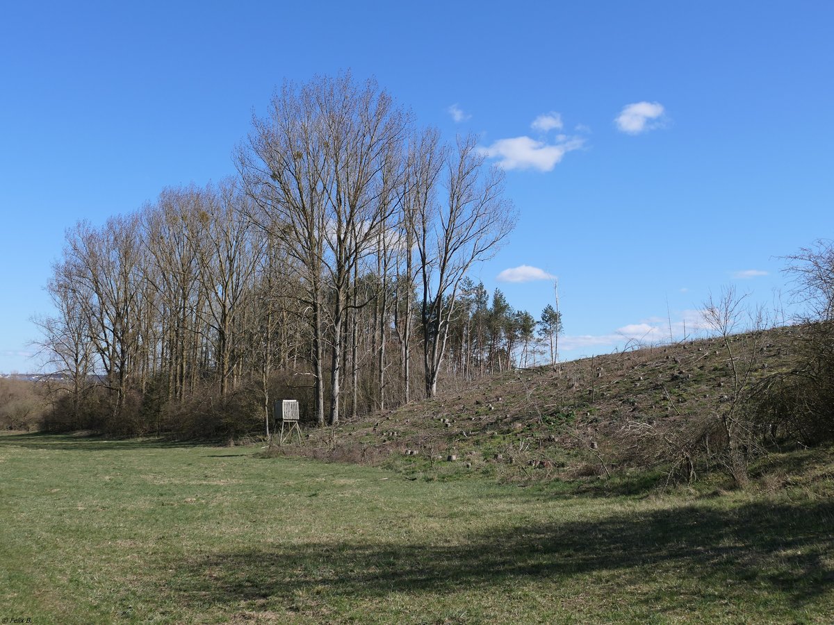 Im Malliner Bachtal gibt es schöne Landschaften zu entdecken. 22.03.2020