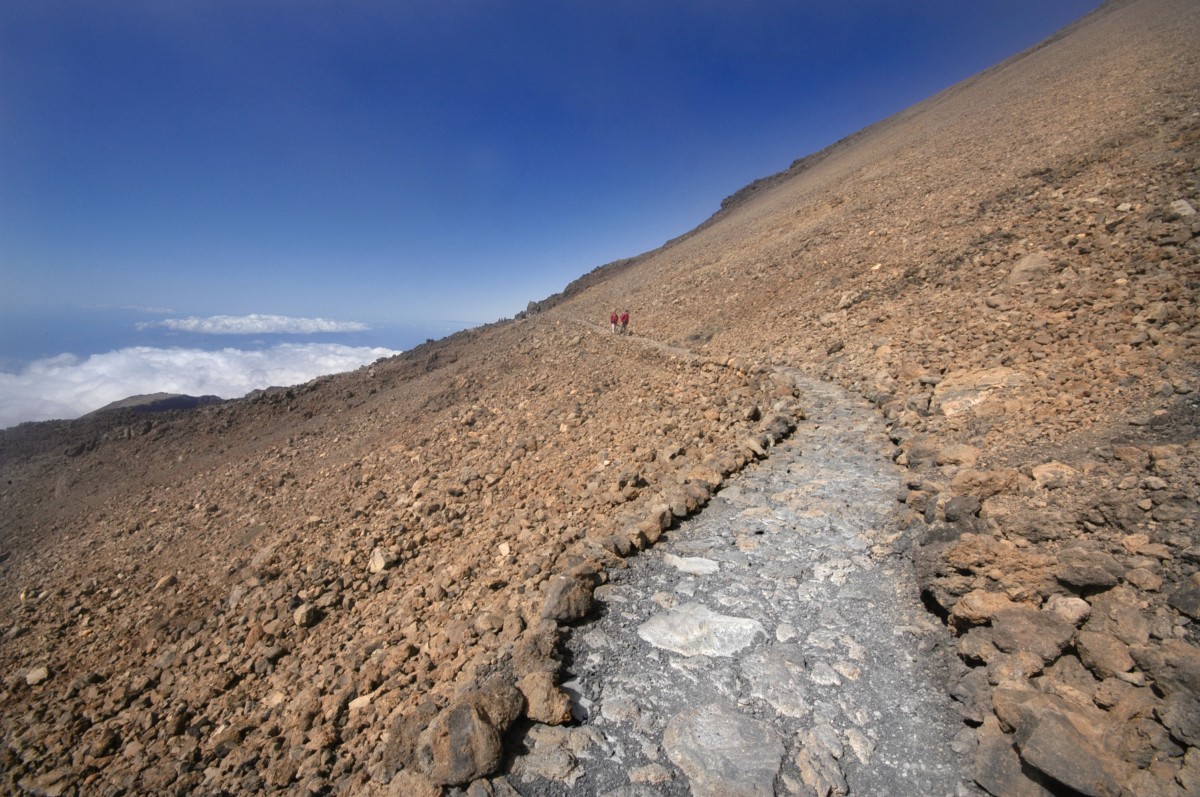 Im Monument Natural del Teide. Die Route zum Montaña Blanca. Aufnahme: Oktober 2008.