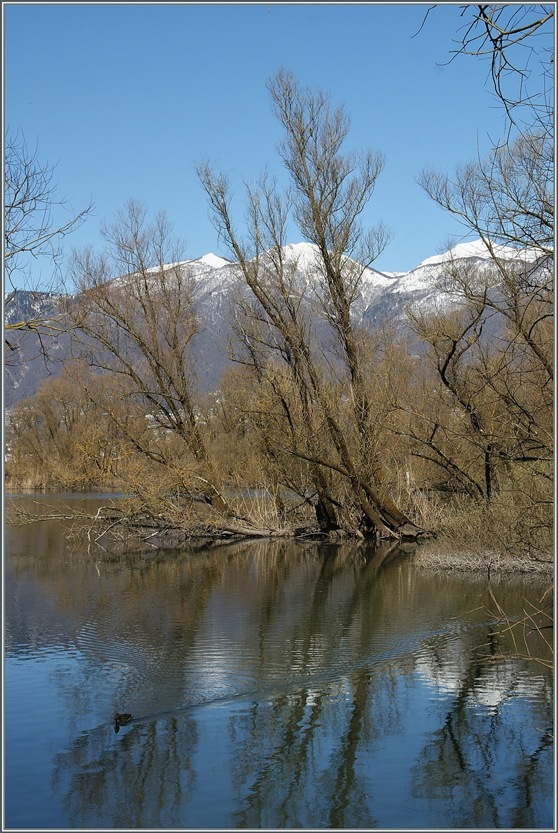 Im Naturschutzgebiet der Maggadino-Ebene bei Vira.
21. März 2013