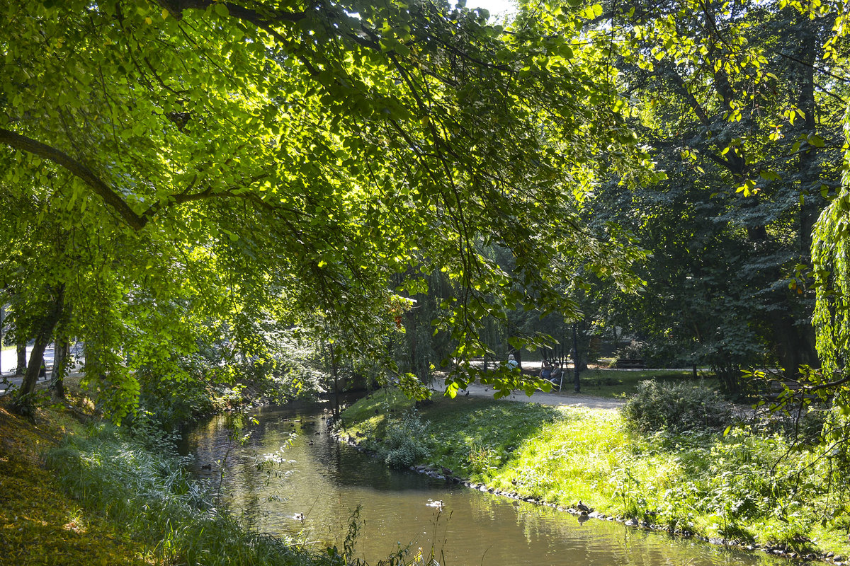 Im Park Książąt Pomorskich (Park der Pommerschen Herzöge) in Koszalin/Köslin. Um das Stadtzentrum von Koszalin liegen über zwei Kilometer grüne Anlagen am Dzierzecinka Fluss entlang. Aufnahme: 16. August 2020.