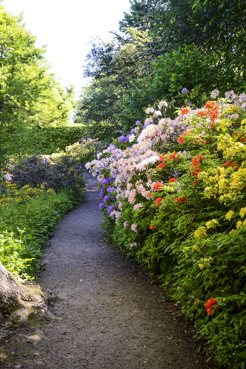 Im Schlossgarten von Gravenstein (Gråsten) in Nordschleswig (Sønderjylland).  Die dänische Königin Ingrid hatte mit ihrem großen Interesse an Blumen und Gärten einen großen Einfluss auf das heutige Aussehen der Gartenanlagen. Aufnahme: 9. Juni 2021.