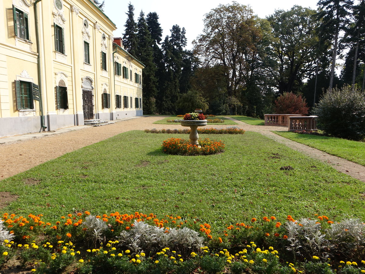 Im Schloßpark beim Schloss Sellye, Komitat Baranya (31.08.2018)