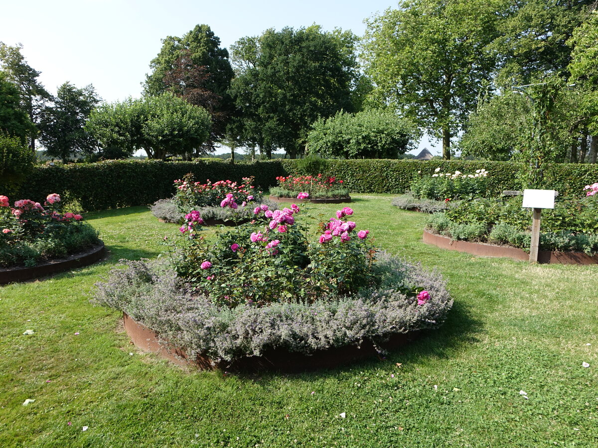 Im Schloßpark vom Schloss Koselitse, Lolland (18.07.2021)