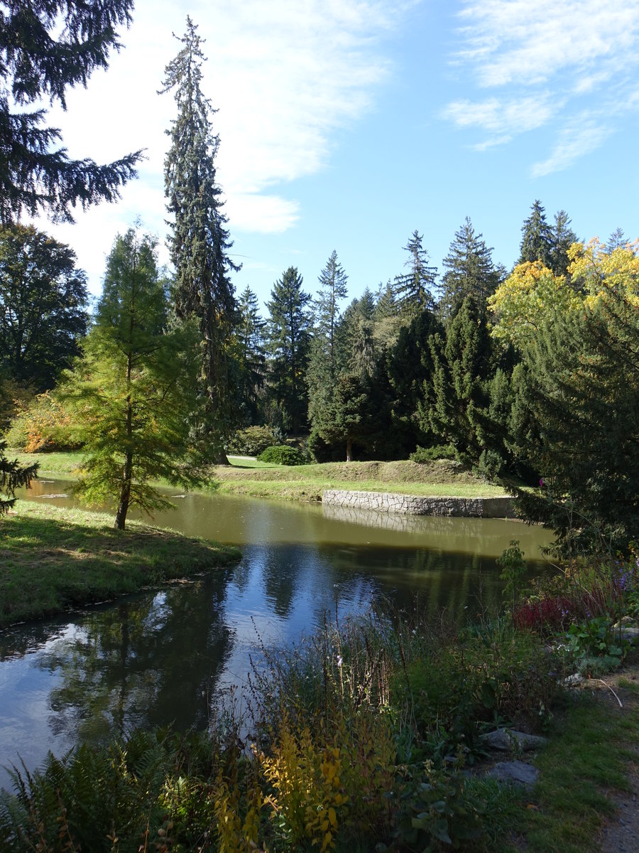 Im Schloßpark von Schloss Pruhonice, Prag (17.09.2019)