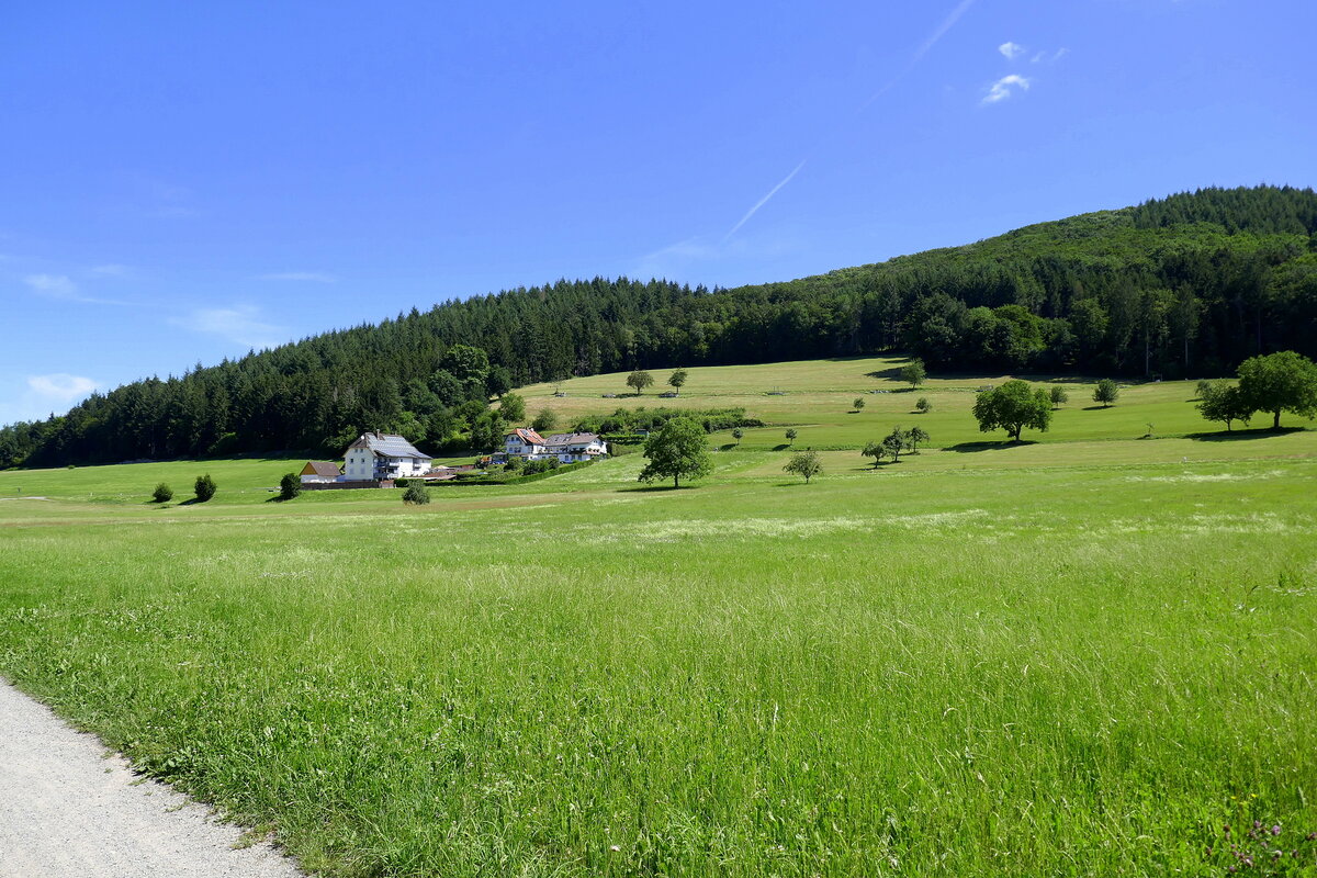 im schönen Schuttertal im mittleren Schwarzwald, Juli 2020