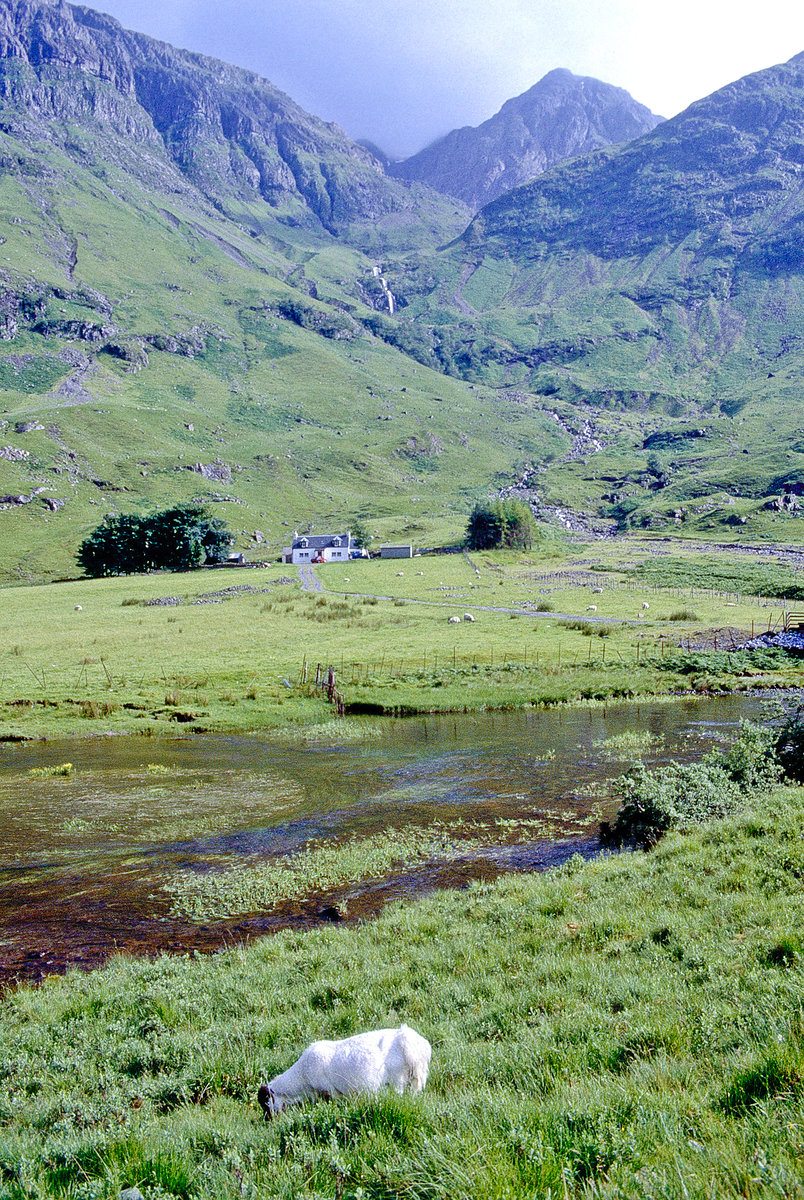 Im schottischen Hochland südlich von Carl Dearg. Bild vom Dia. Aufnahme: Juni 1991.