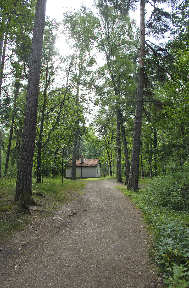 Im Wald vom Aborreberg östlich von Norrköping in Schweden. Im Wald befinden sich Häuser der Jugendherberge Aborreberg. Aufnahme: 20. Juli 2017.