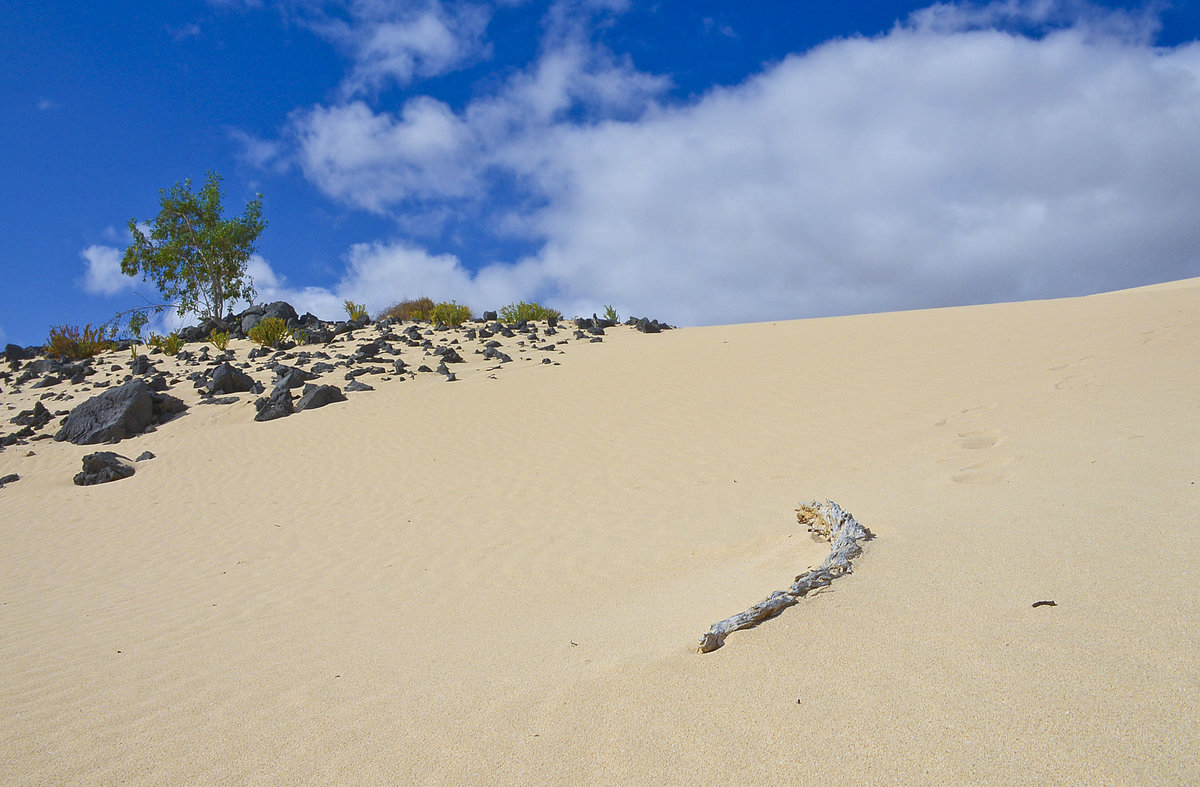 Im westlichen Dünenlandschaft von Parque Natural de Corralejo auf der Insel Fuerteventura ist es besonders ruhig und die Dünen sind noch beeindruckender als in Strandnähe. Aufnahme: 18. Oktober 2017.