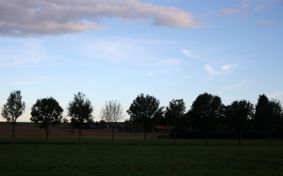 In der Abendstimmung in Randerath am Abend vom 14.10.2014.