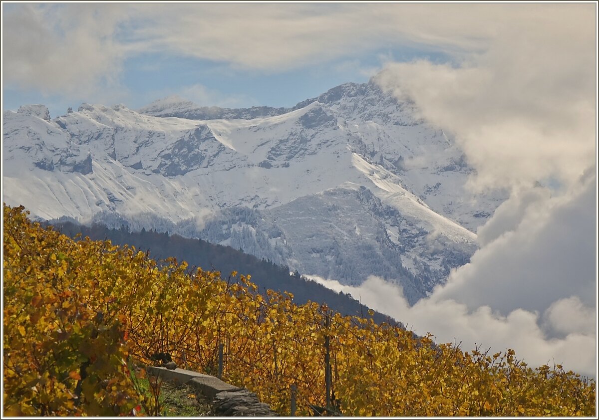 In den Bergen liegt der erste Schnee, während die abgeernteten Weinreben noch für eine
Herbstimmung sorgen.
(27.10.2020)
