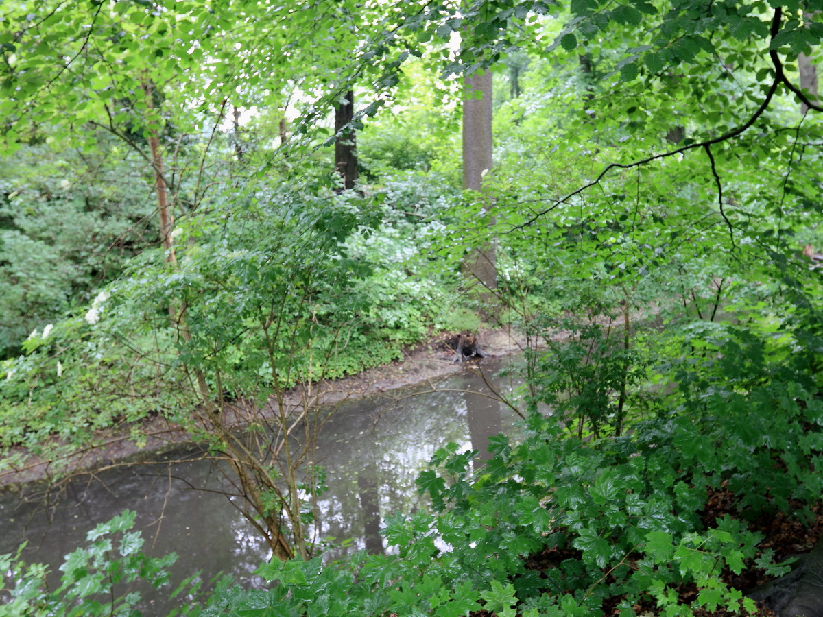 In Bernau bei Berlin fließt das hier entspringende Fließgewässer, das in Berlin nach ca. 30 Kilometer  in die Spree mündet. Aufnahme vom 01. Juni 2016.